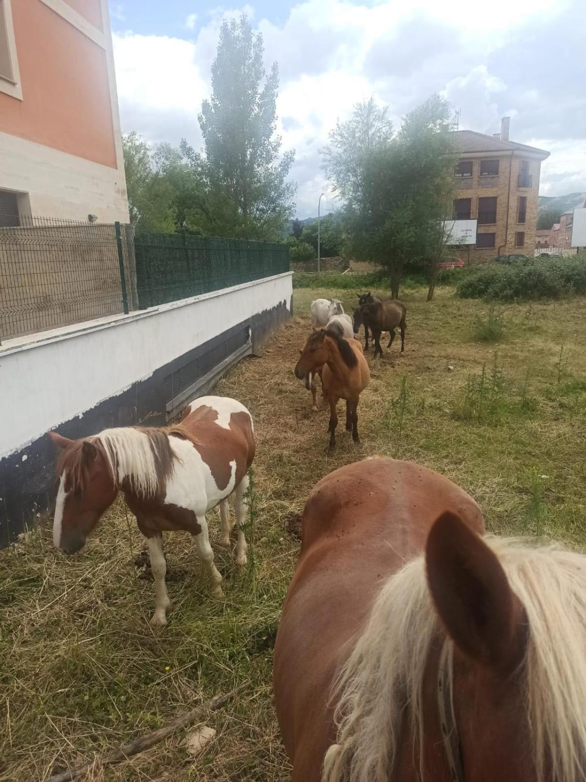 Alojamiento Fiordos Leoneses Bonar Exterior foto